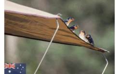 Gordigear Dachzelt 165 Plus Für 3 Personen Mit Vorzelt 165 X 320 Cm Grün 15 Gordigear Dachzelt 165 Plus Für 3 Personen Mit Vorzelt 165 X 320 Cm Grün -Berühmter Markisen Geschäft 585663 3986115